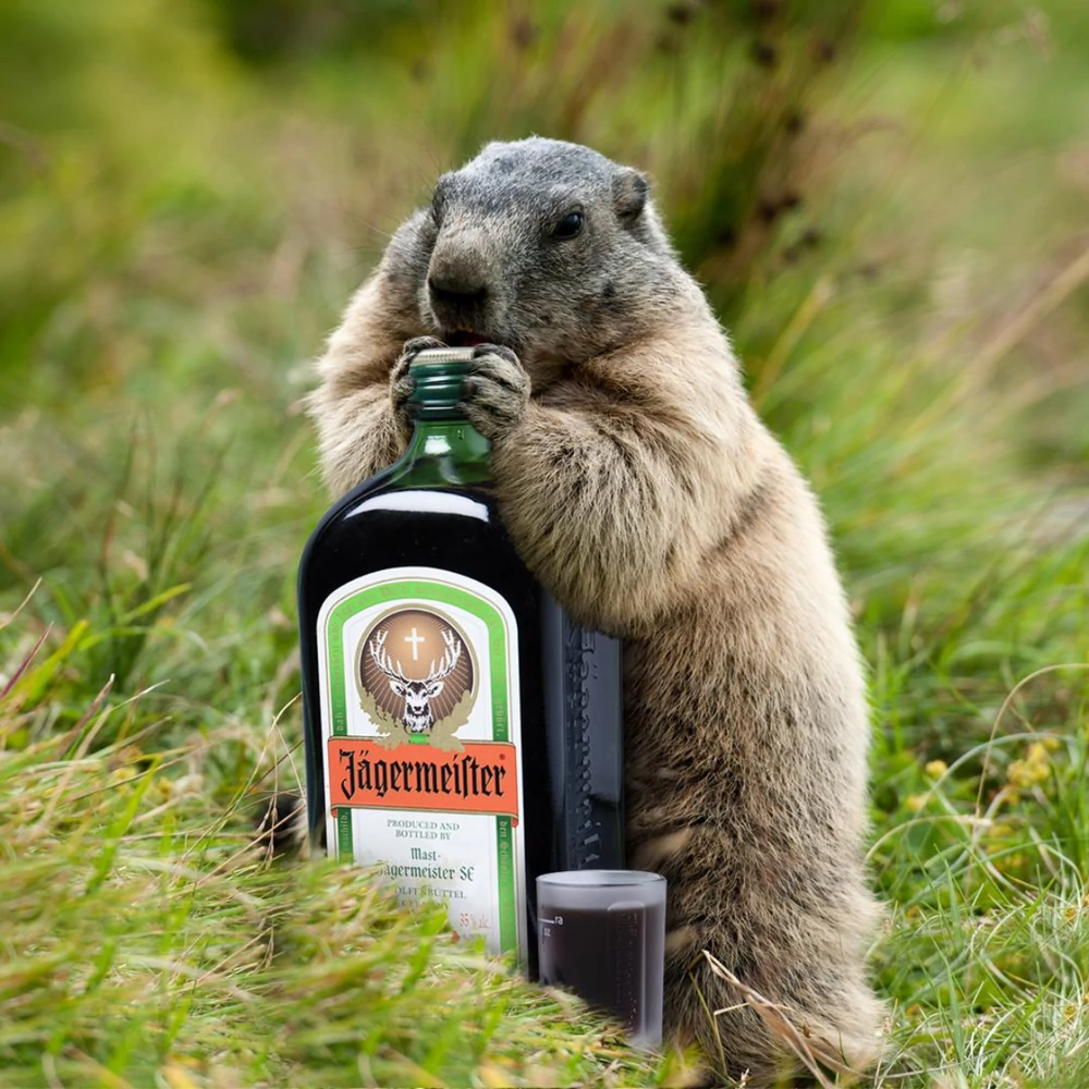 Környezetbarát party tippek: Jägermeister és zero waste koktélok