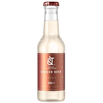 &amp;T Spicy Ginger Beer DRS (0,2L)